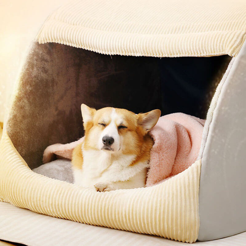 PupHaven – Abnehmbares Hundezeltbett mit geschlossenem Entwerfen und einfacher Lagerung