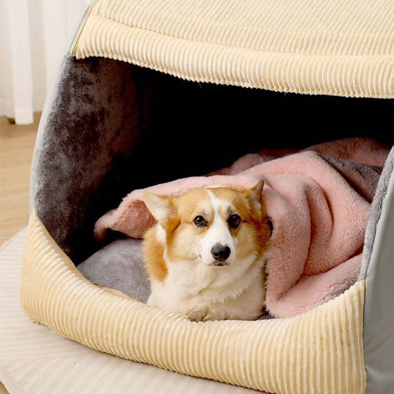 PupHaven – Abnehmbares Hundezeltbett mit geschlossenem Entwerfen und einfacher Lagerung