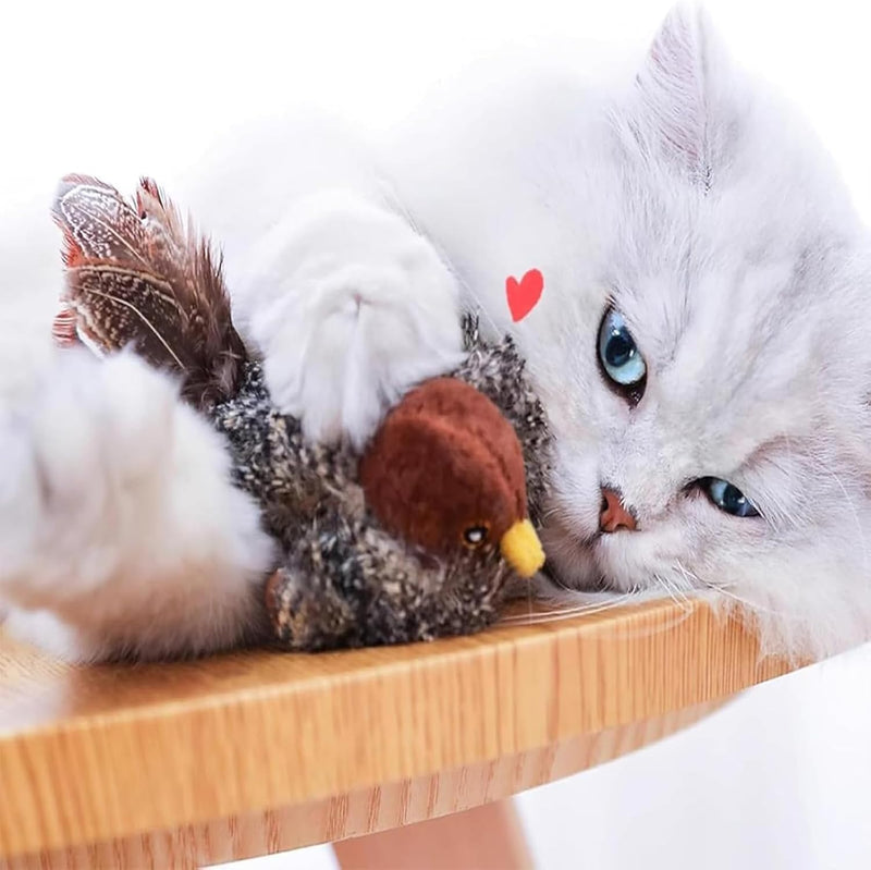 CatChasse - Elektrisches quietschendes Vogelspielzeug mit Federn und Zwitschergeräuschen für interaktives Katzenspiel