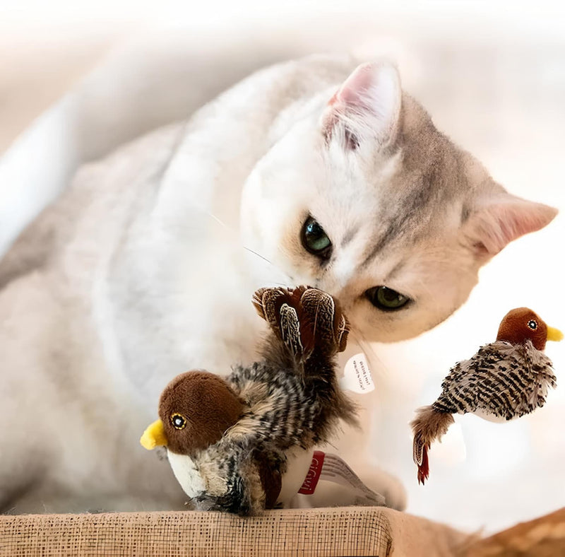 CatChasse - Elektrisches quietschendes Vogelspielzeug mit Federn und Zwitschergeräuschen für interaktives Katzenspiel