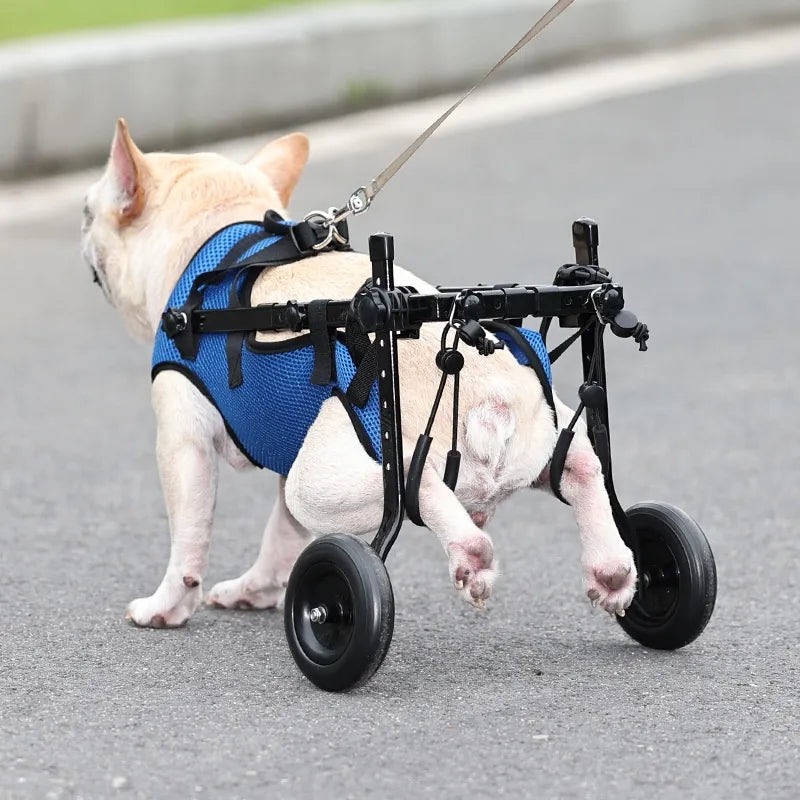 PawStride – Verstellbarer Assistenzrollstuhl für Hunde und Katzen