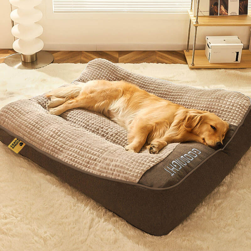 CushPaws – Bequemes Hundekissenbett mit Stützfunktion und waschbarem Entwerfen