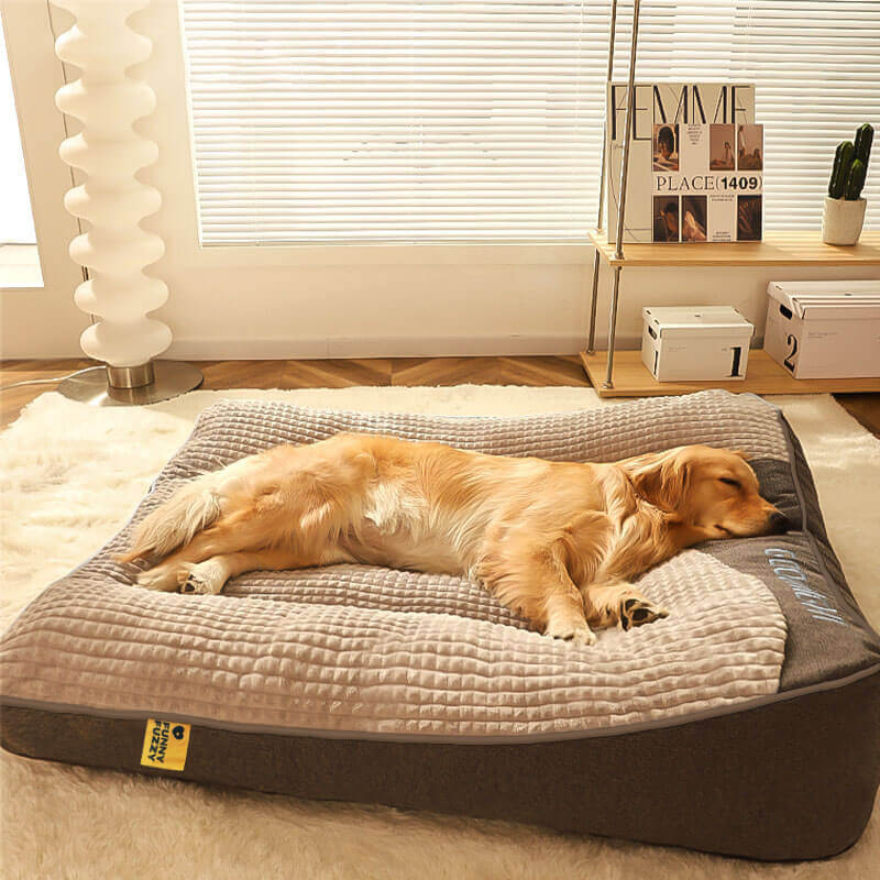 CushPaws – Bequemes Hundekissenbett mit Stützfunktion und waschbarem Entwerfen