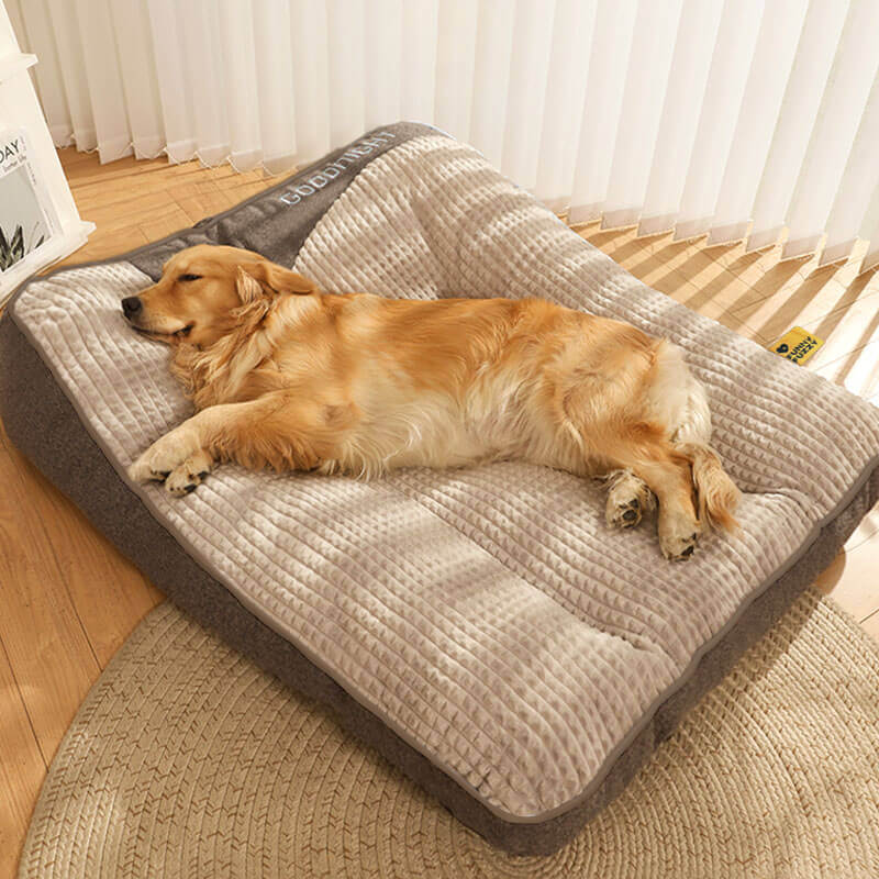 CushPaws – Bequemes Hundekissenbett mit Stützfunktion und waschbarem Entwerfen