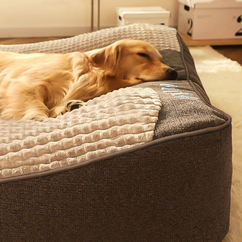CushPaws – Bequemes Hundekissenbett mit Stützfunktion und waschbarem Entwerfen