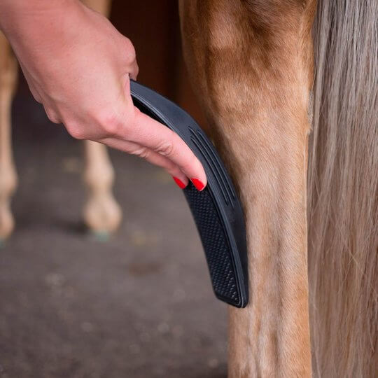 EquiShine - Pferdepflegebürste zur Reinigung Massage und Haarentfernung