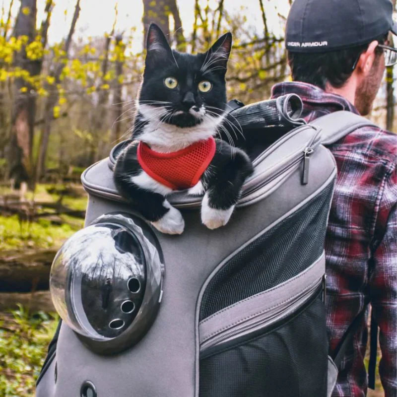CatPorter – Großes Fassungsvermögen Durchsichtiger Kuppel Katzenrucksack mit Paneelen für die Luftzirkulation