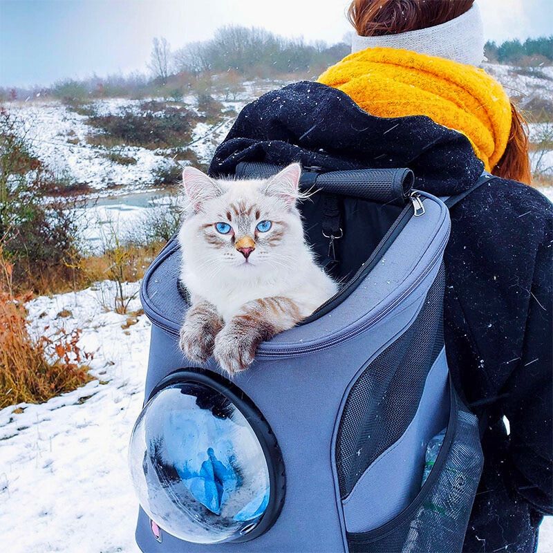 CatPorter – Großes Fassungsvermögen Durchsichtiger Kuppel Katzenrucksack mit Paneelen für die Luftzirkulation