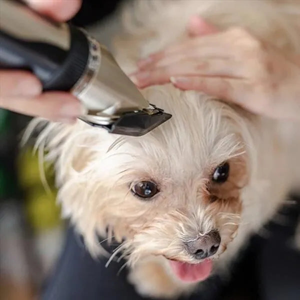 CalmCut – Wiederaufladbarer kabelloser Trimmer für Hunde und Tierhaare