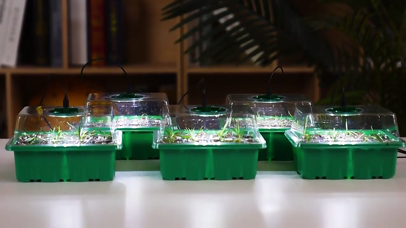 GreenSpace - Kompakt Innenbereich Gewächshaus Mit LED Steuerung
